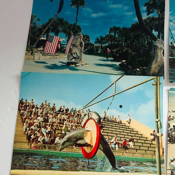 Vintage Marine Studios Marineland Florida Jumbo Postcard Lot 4 Flippy Porpoise - Picture 2 of 4